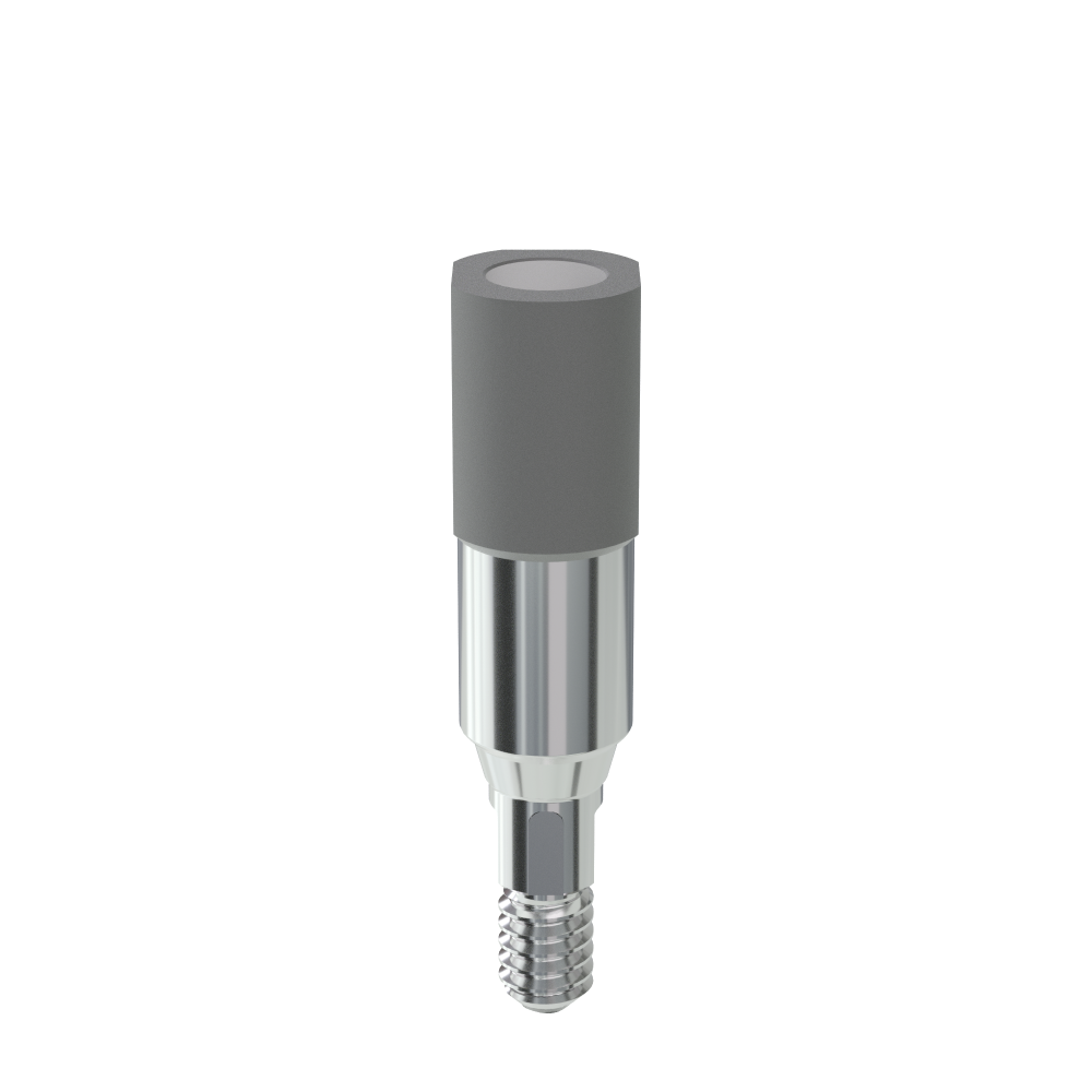 Mono-Scank&ouml;rper, kompatibel mit Straumann&reg; Bone Level&reg;